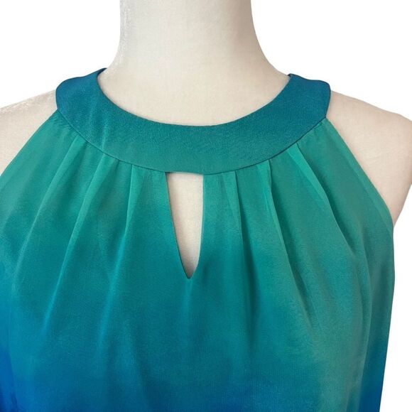 DB Established 1962 Beautiful Blue Floral Chiffon Dress.  Sleeveless. Size 6. - Picture 2 of 12